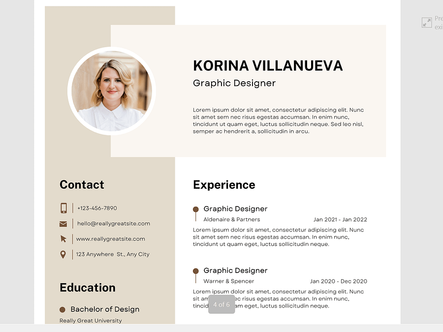 5 CV Templates in PDF Format product image (4)