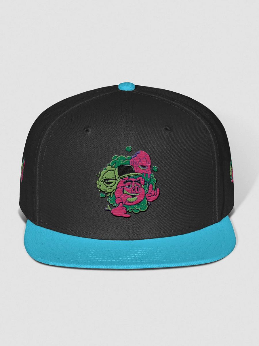 BizzWorld Drip snapback collection product image (8)