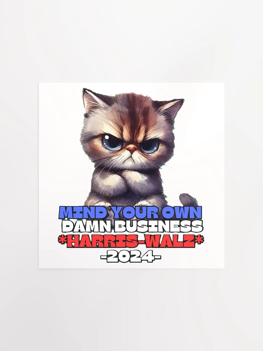 HARRIS-WALZ 2024 MIND YOUR OWN DAMN BUSINESS product image (1)