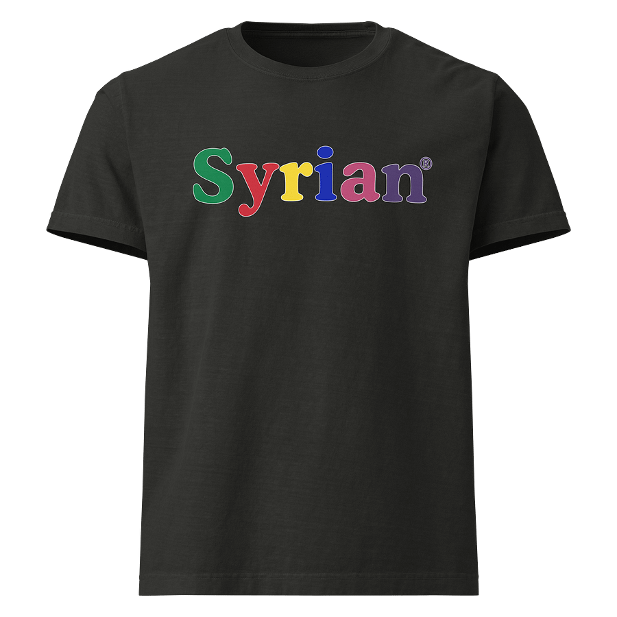 Syrian.com Oversized Unisex T-shirt product image (13)