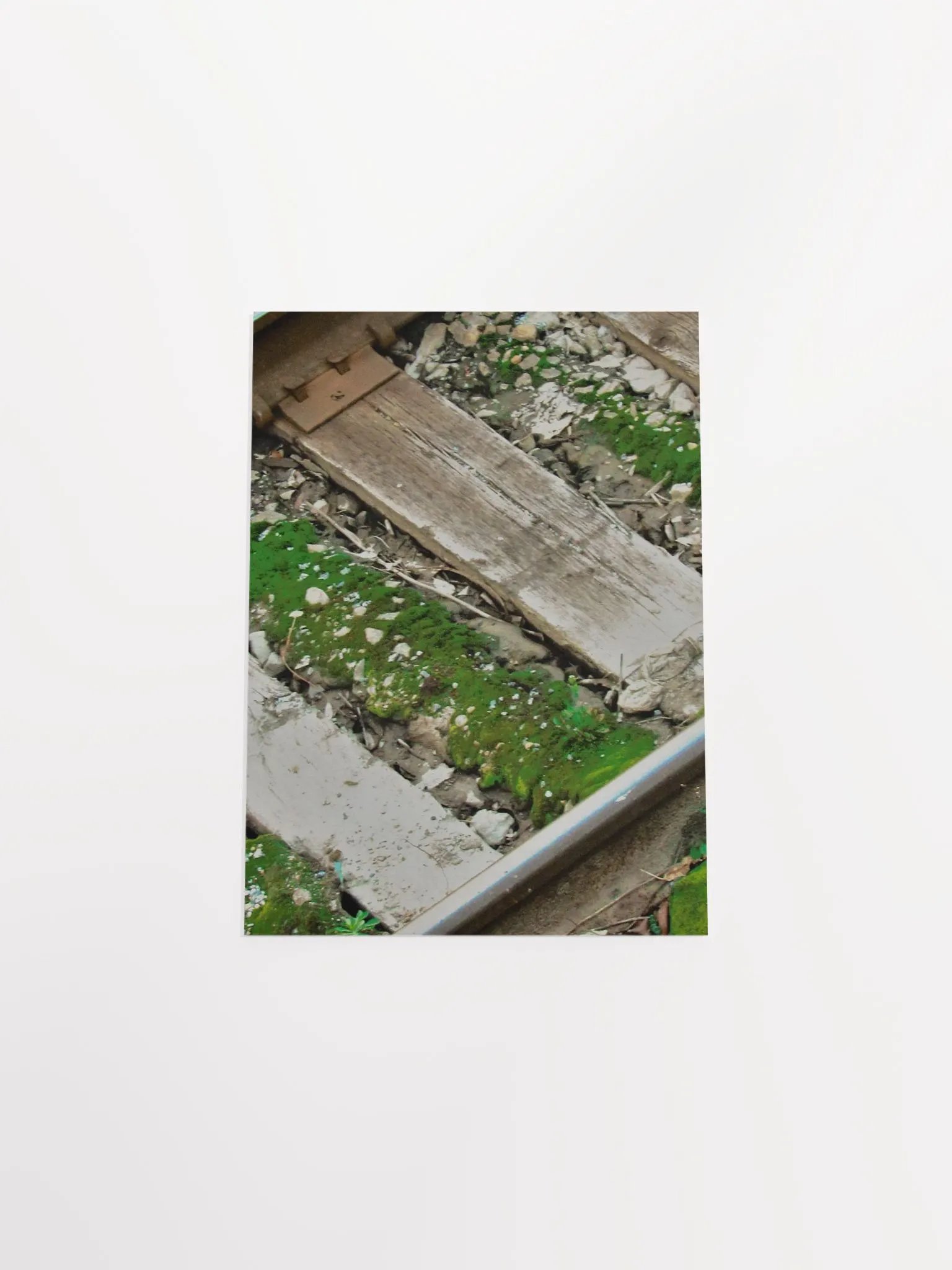 Mossy Railroad product image (47)