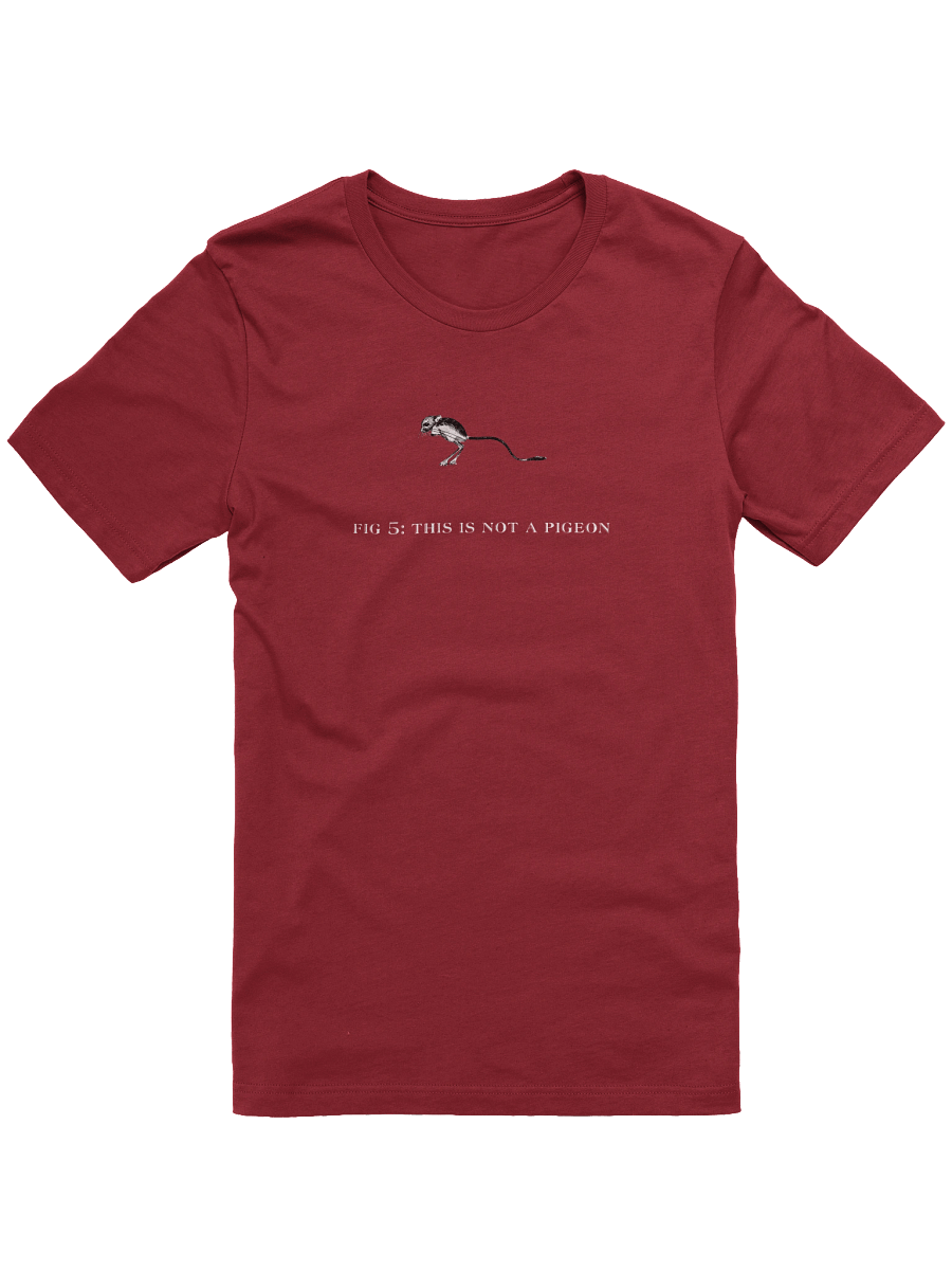 Not A Pigeon-KangarooMouseEdition 2 product image (28)