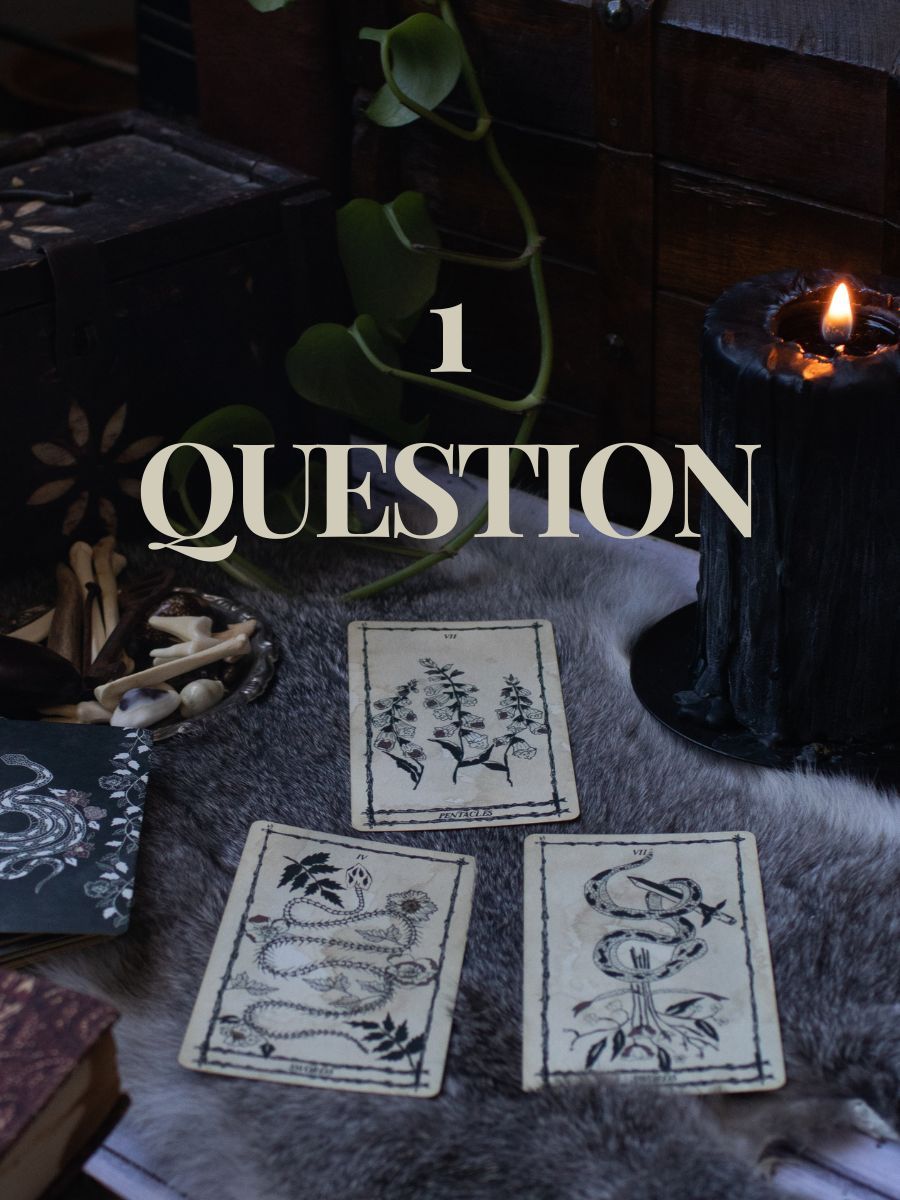 1 Question Reading product image (1)