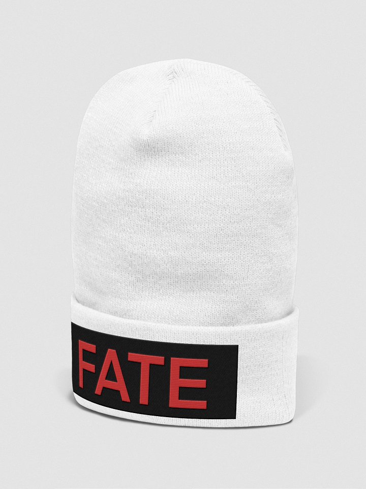 Yupoong Cuffed Beanie: fate 2.0 product image (15)
