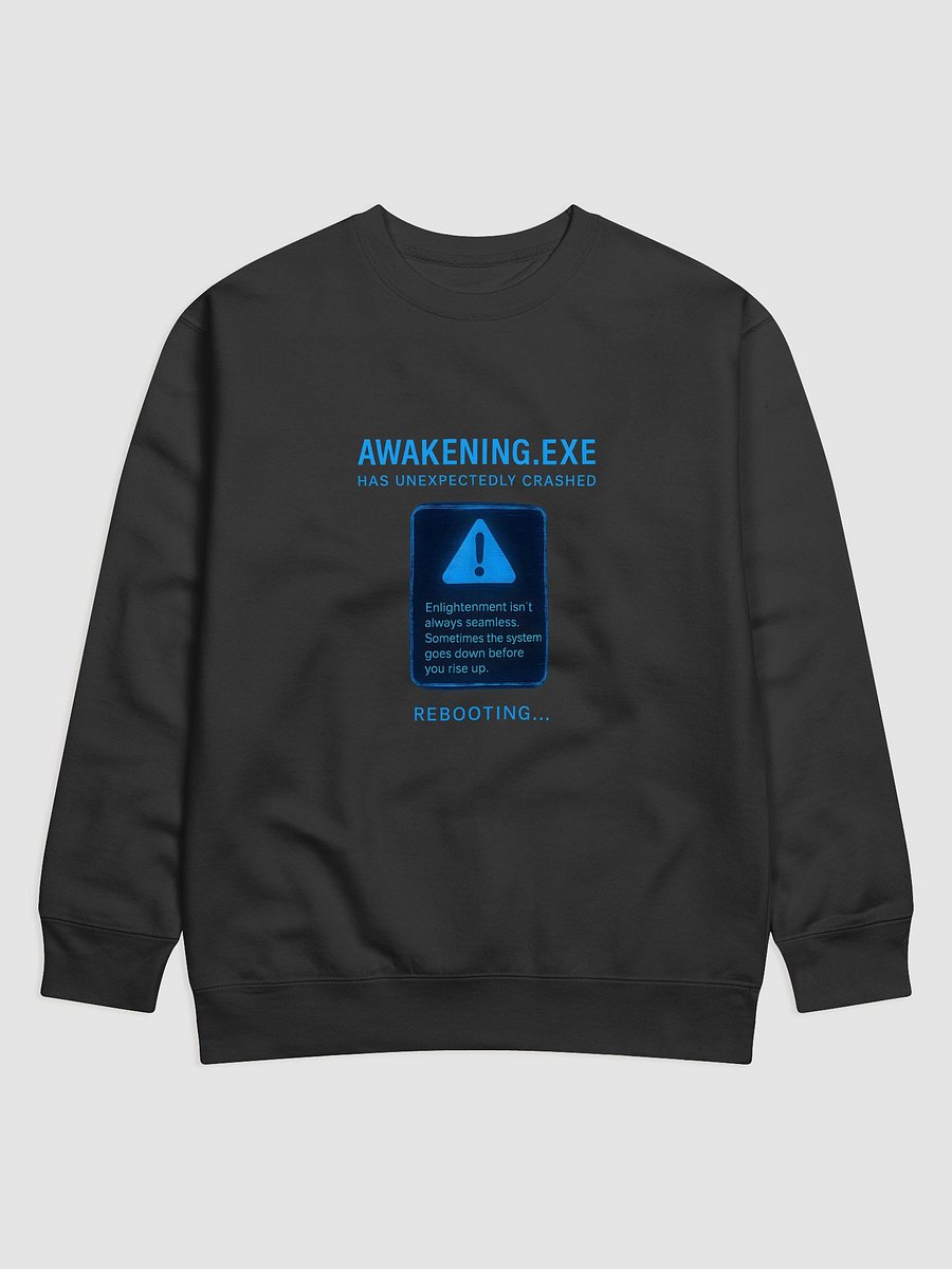 Awakening.exe Has Unexpectedly Crashed product image (5)