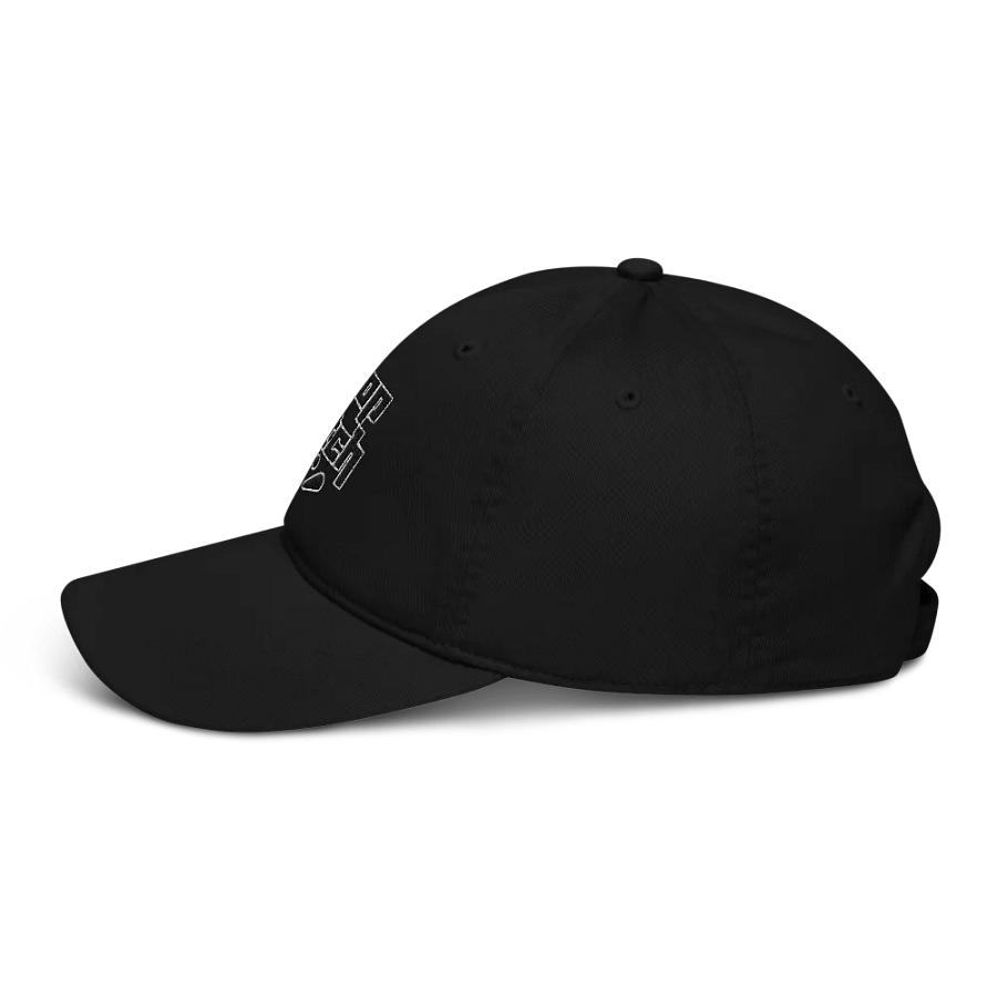 Drop Catch Dad Hat product image (3)