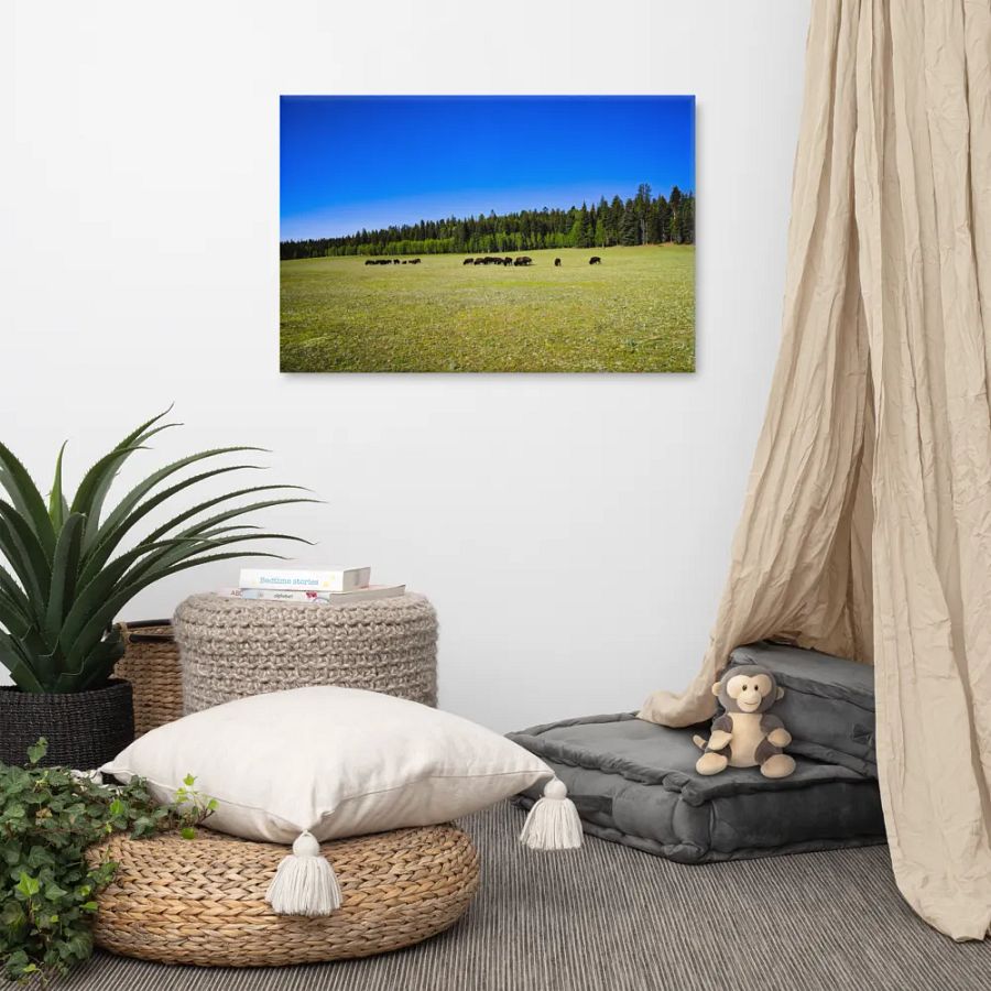 Grand Canyon Buffalo Graze product image (7)