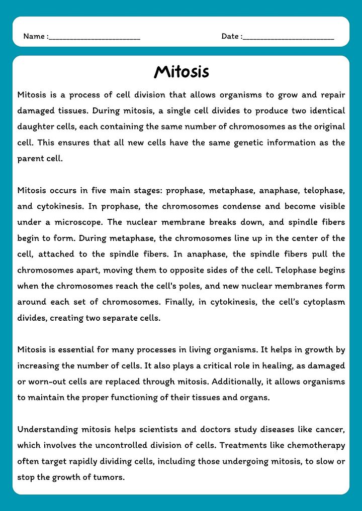Mitosis Reading Comprehension Passage & Questions product image (1)