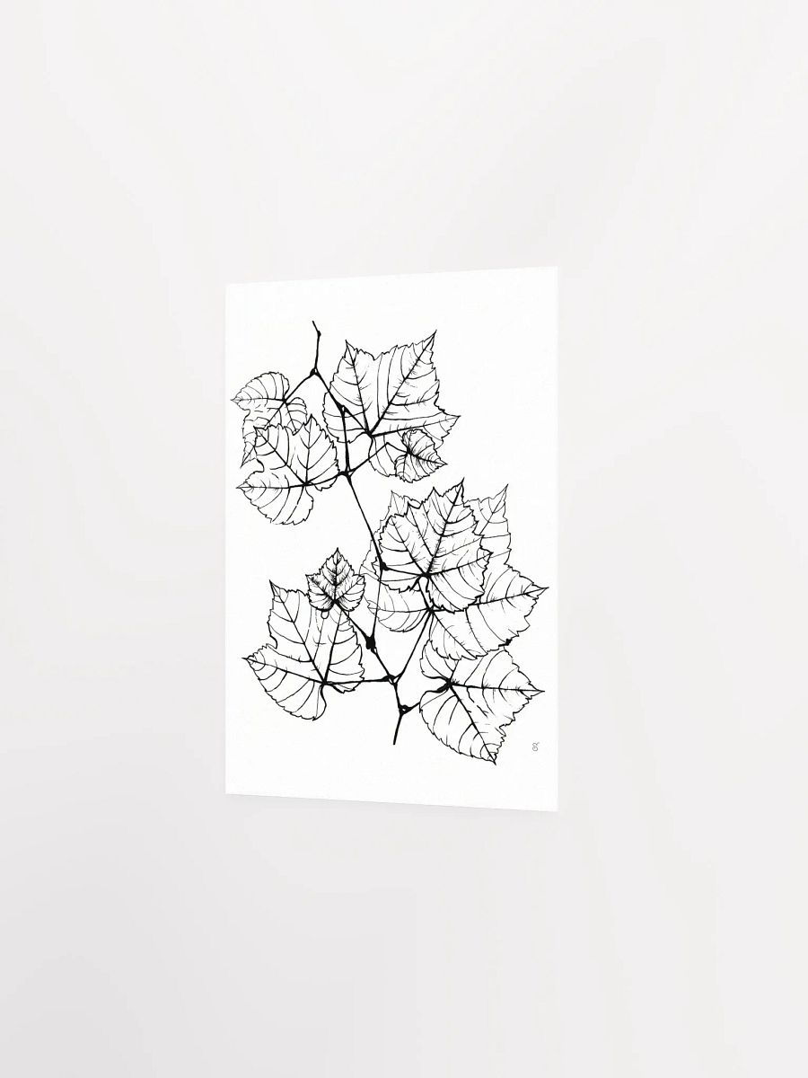 Veined Botanical Branch Matte Poster - Grape Leaves Elegant product image (2)