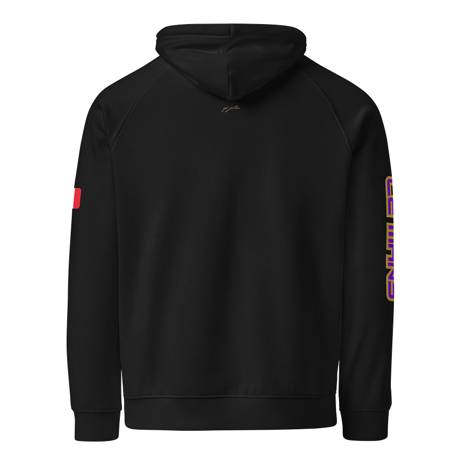 LE MANS CIRCUIT Eco Raglan Hoodie product image (2)