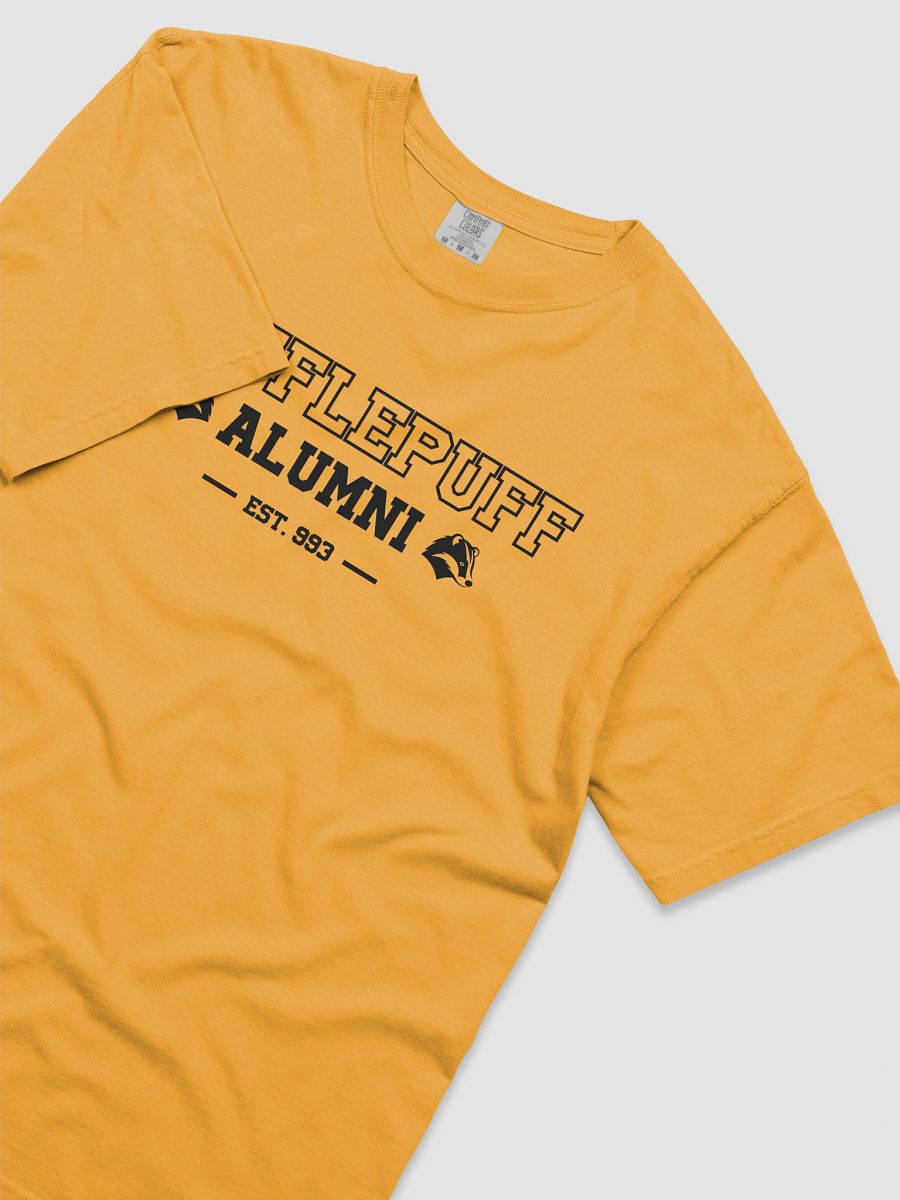 Badger Kind Magical Alumni Vintage Collegiate Shirt product image (12)