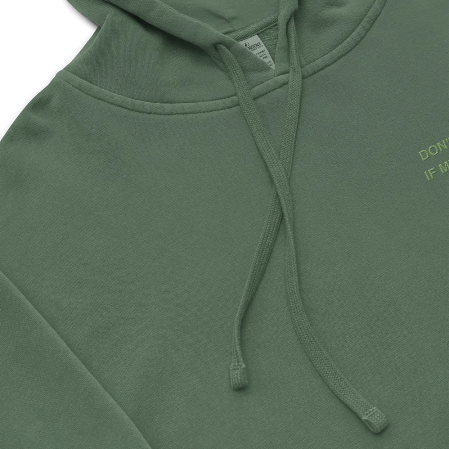 L.C. HEADPHONES ON (light green) embroidered pigment hoodie product image (8)