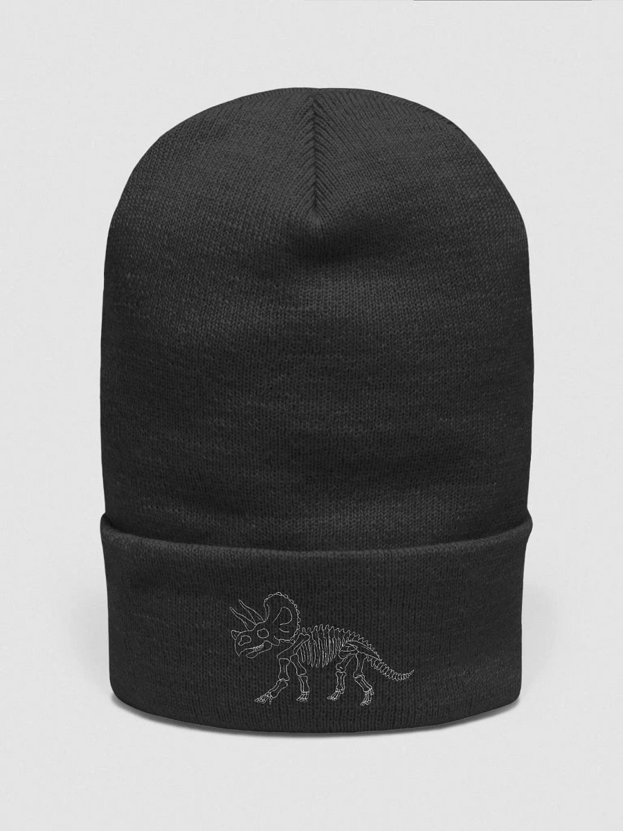 dino skeleton beanie product image (6)