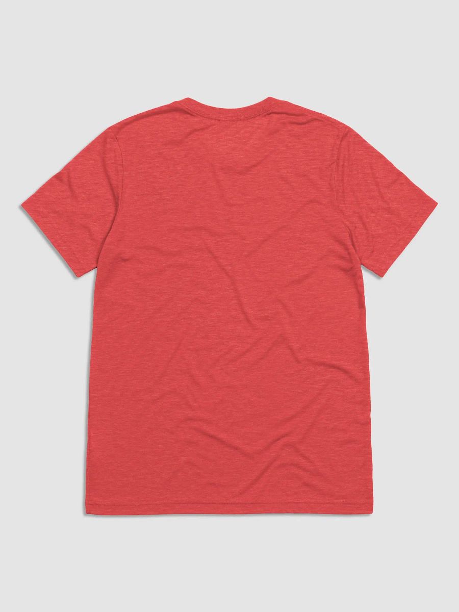 TAF Triblend T-shirt product image (22)