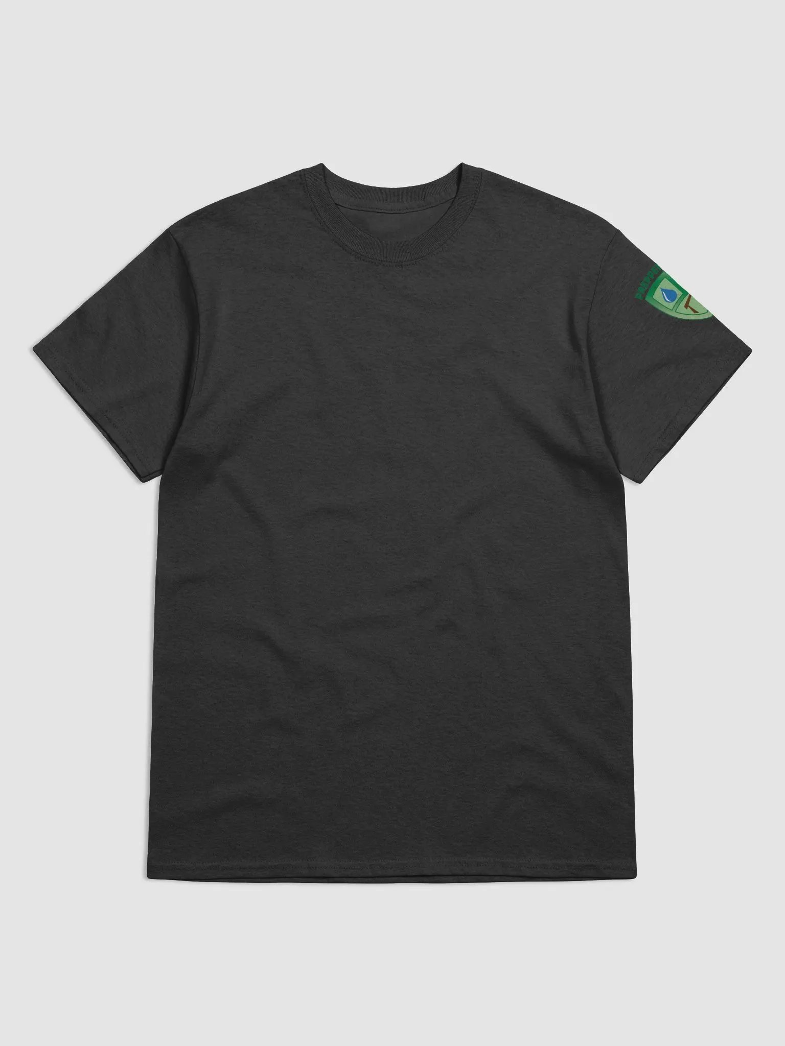 Hurricane Helene Survivor T-Shirt product image (1)