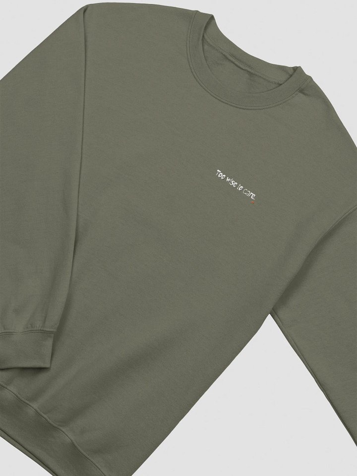 Too Wise to care Cat Wisdom Embroidered Sweatshirt product image (1)