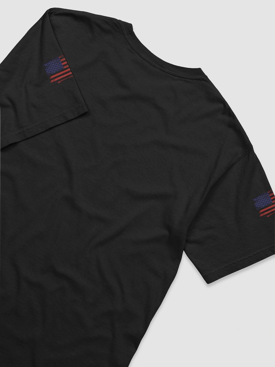 Garment-Dyed Heavyweight Man T-Shirt NASA + USA Flag Logo product image (6)