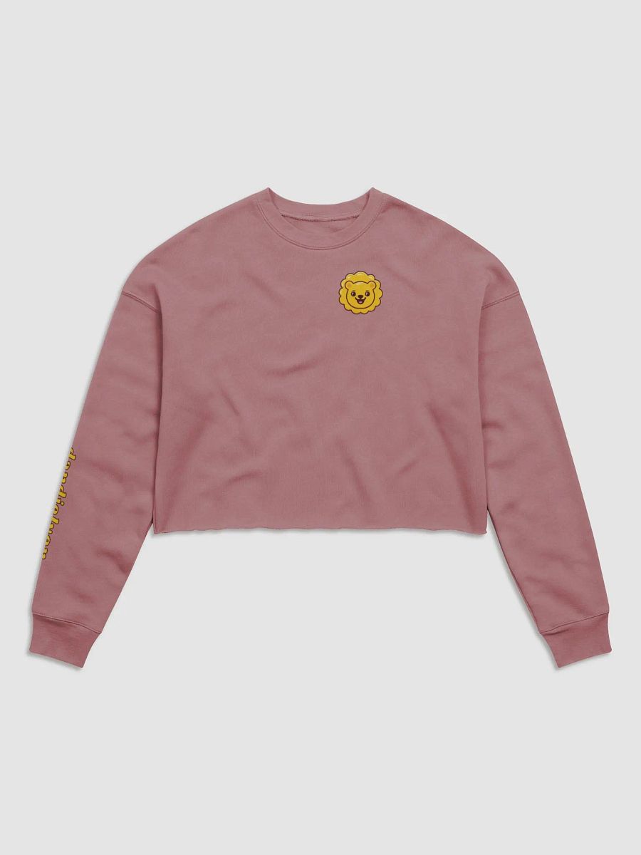 dandielyon cropped sweatshirt product image (5)
