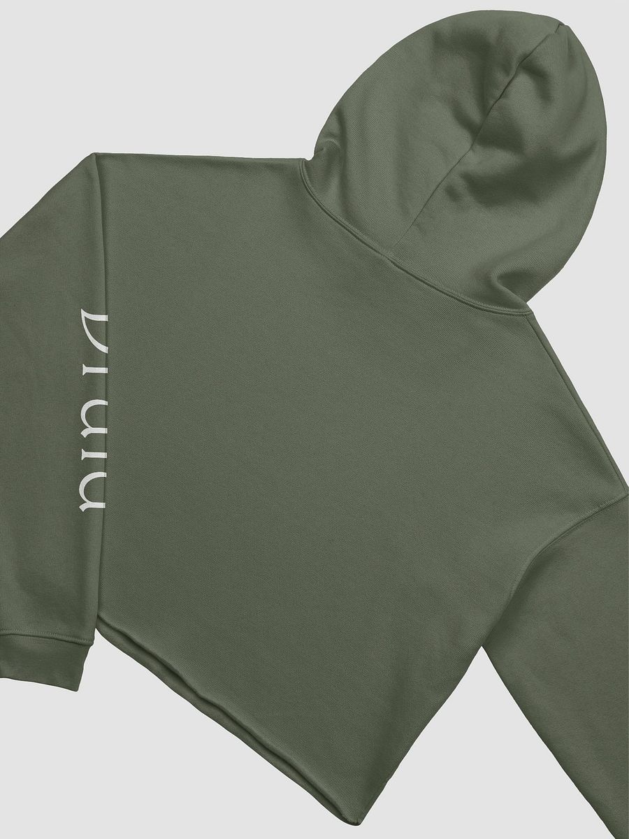 Druid Cookie Cropped Hoodie product image (8)