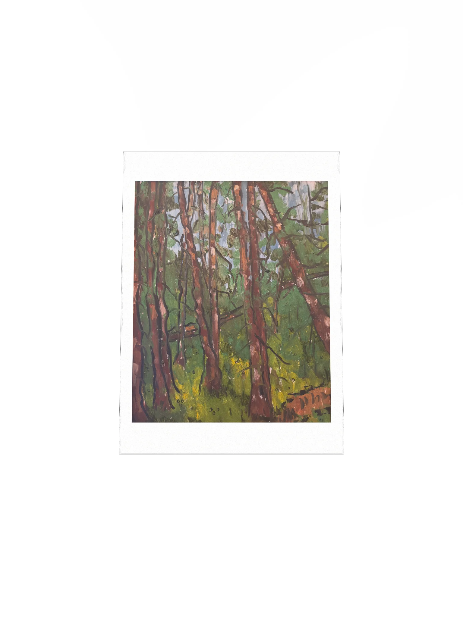 Chambers Lake Print product image (26)