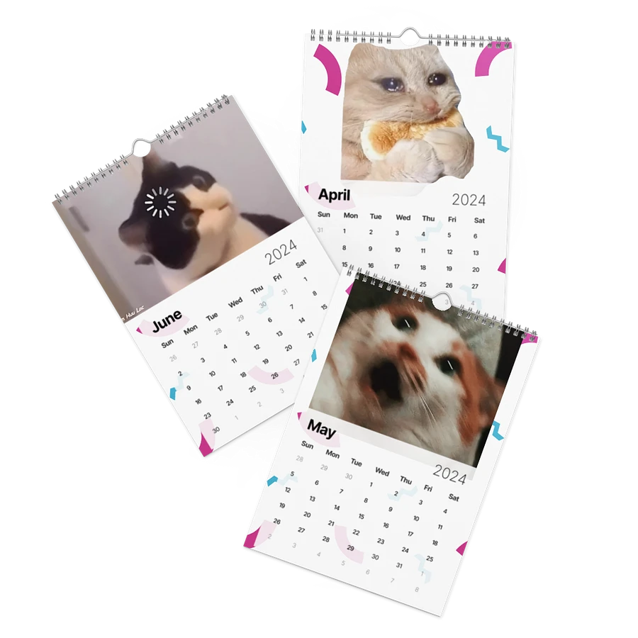 Wall Calendar (2024): Meme Cats product image (3)