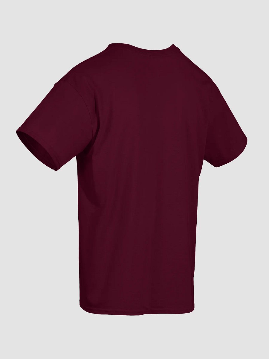 Theology Isn't Just for Boys T-Shirt product image (6)
