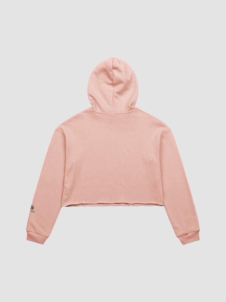 poetry club cropped hoodie product image (8)