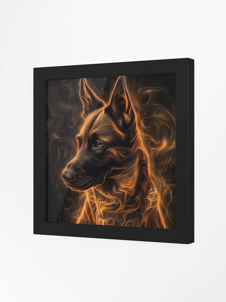 Belgický ovčák Malinois, ohnivý product image (17)