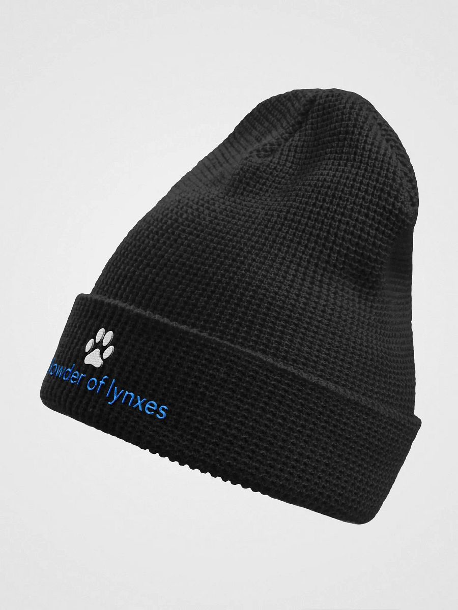 Clowder beanie product image (2)
