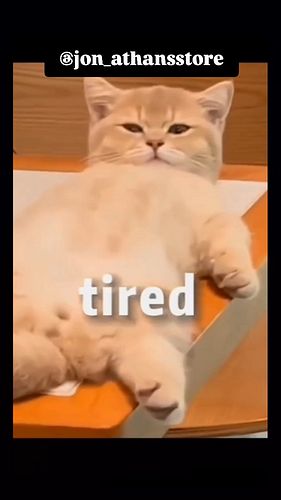 Funny tired cat all the time 🐈🤣🤣🤣🤣
.
.
.
Follow for more lazy content! 
.
.
.
#funny #tired #cat #tiredcat #reels #explore #f...
