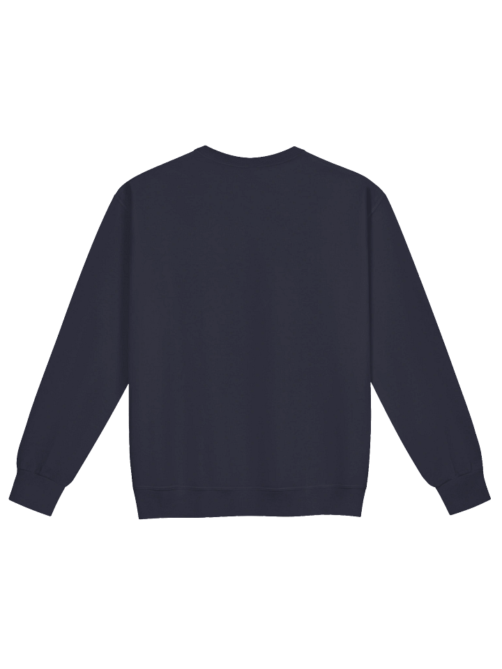 Queens College Sweatshirt product image (3)