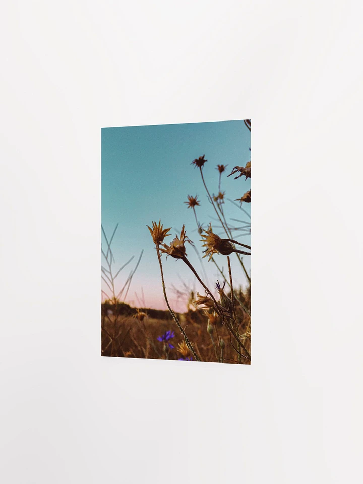 Wildflowers at Sunrise Wall Art product image (15)