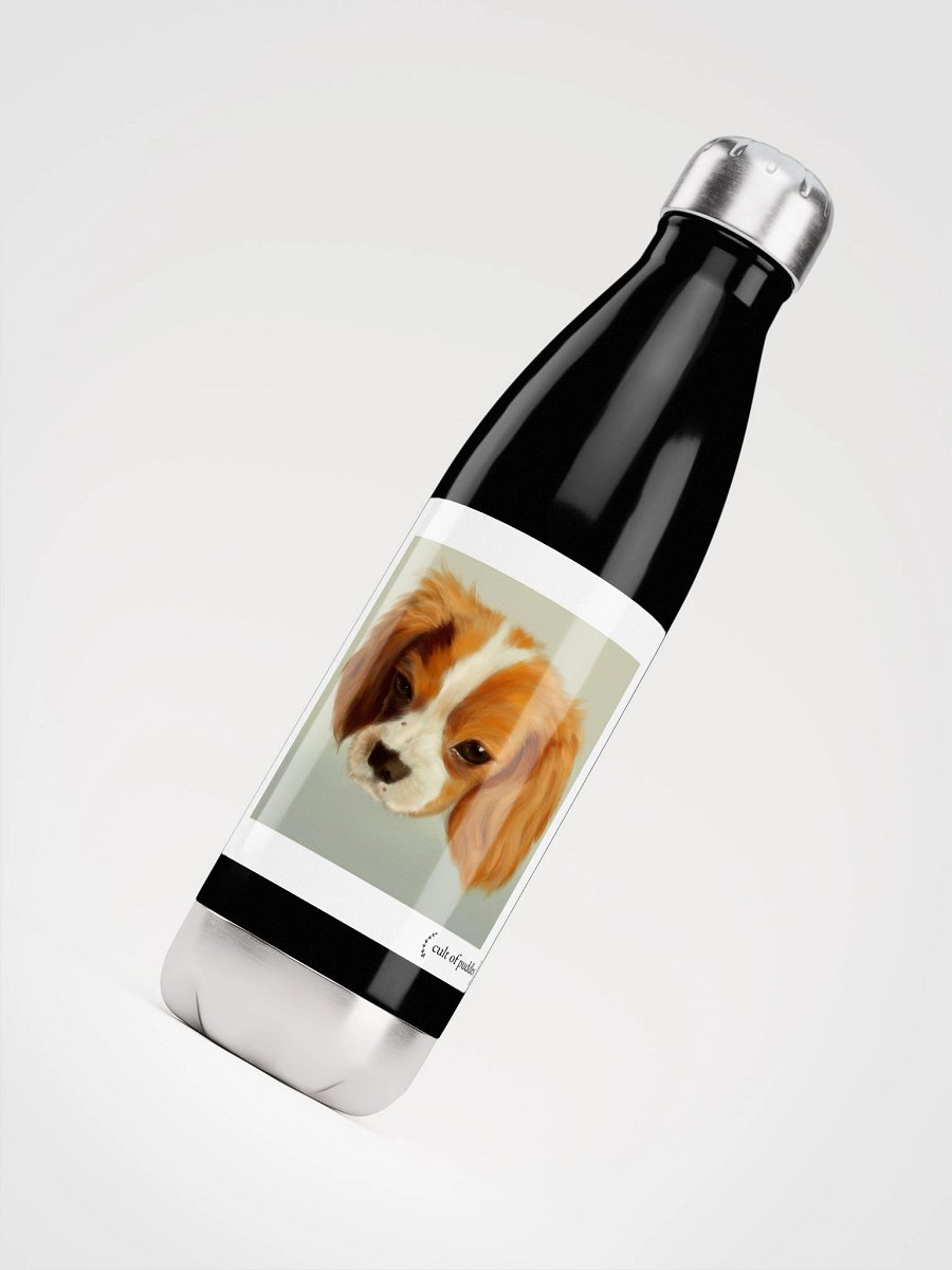 Stainless Steel Cult of Puddles Waterbottle product image (4)