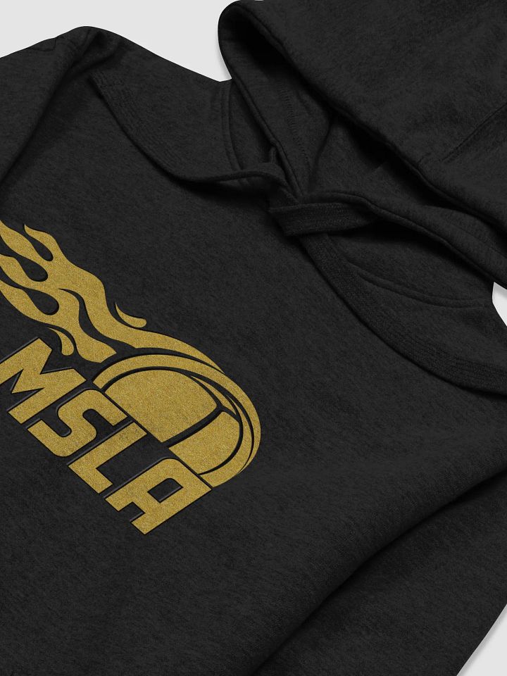 MSLA Gold - Hoodie product image (1)