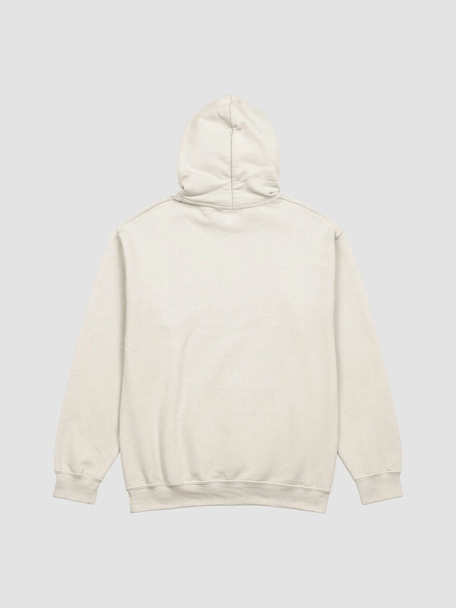 Delusionary Hoodie product image (4)