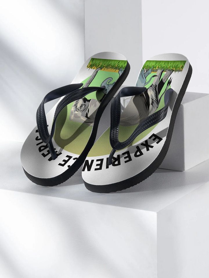 Experience Africa product image (1)