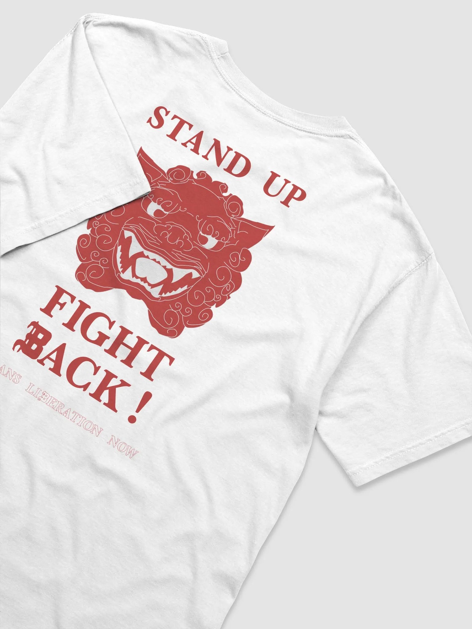 Stand Up, Fight Back shirt product image (4)