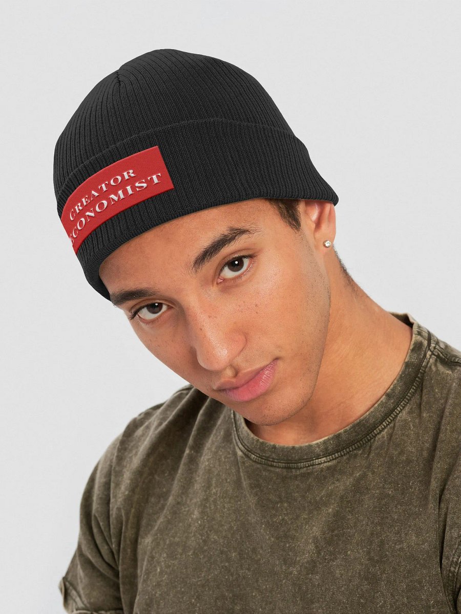 Creator Economist Beanie product image (4)