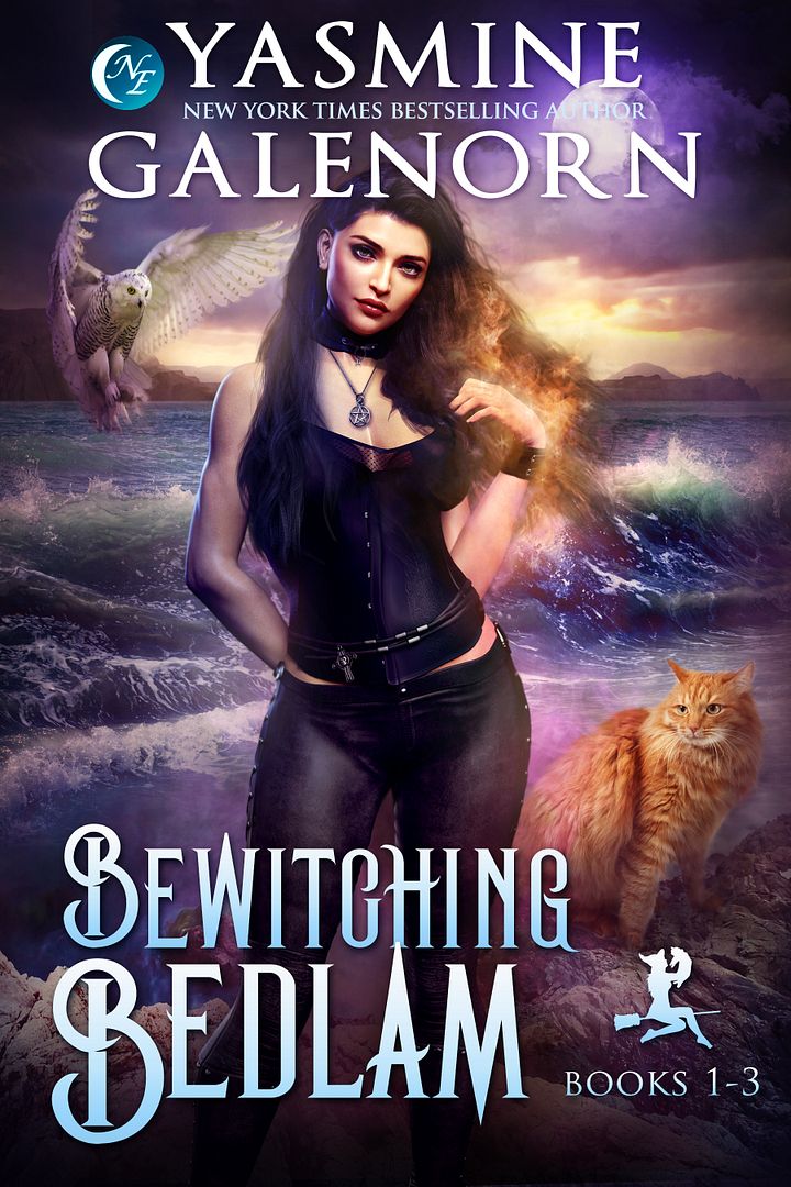 Bewitching Bedlam Books 1-3 product image (1)