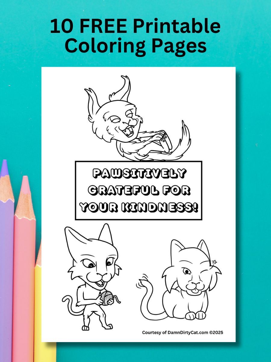 FREE Printable Coloring Book of Kittens - PDF Download product image (1)