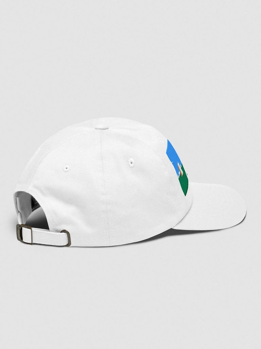 fly.pieter.com official hat - 100% cotton product image (4)