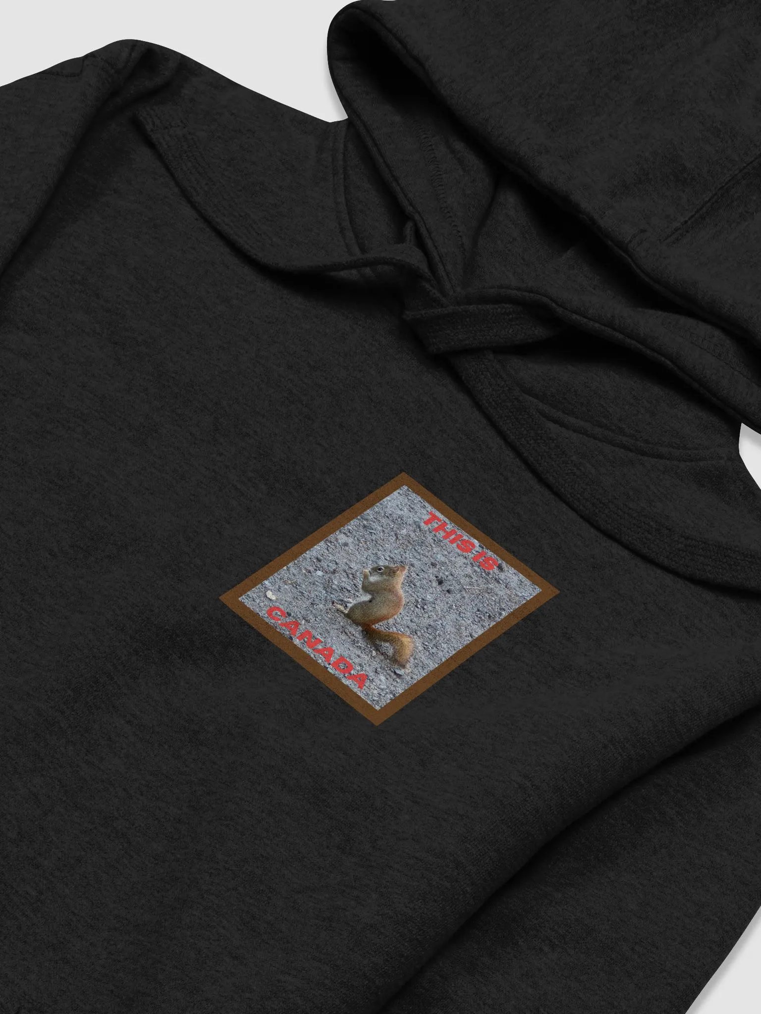 Adorable Red Squirrel Premium Hoodie product image (3)