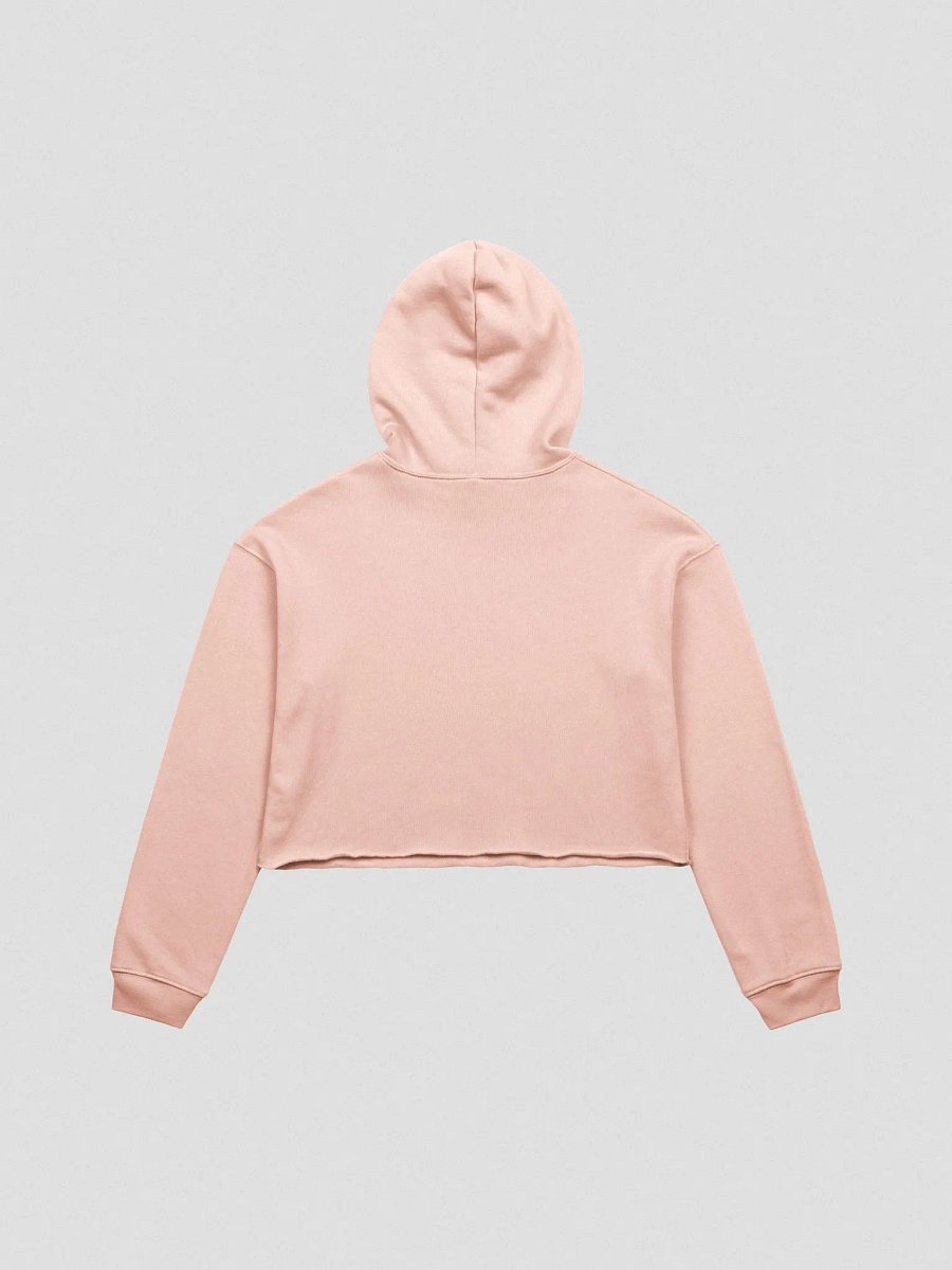 Trying Times fleece crop hoodie product image (3)