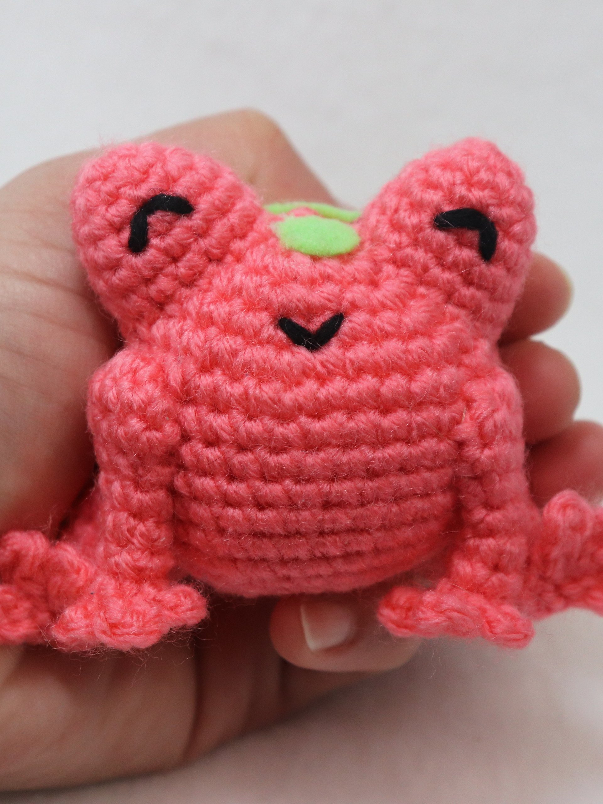 Pink and Green Frog product image (2)