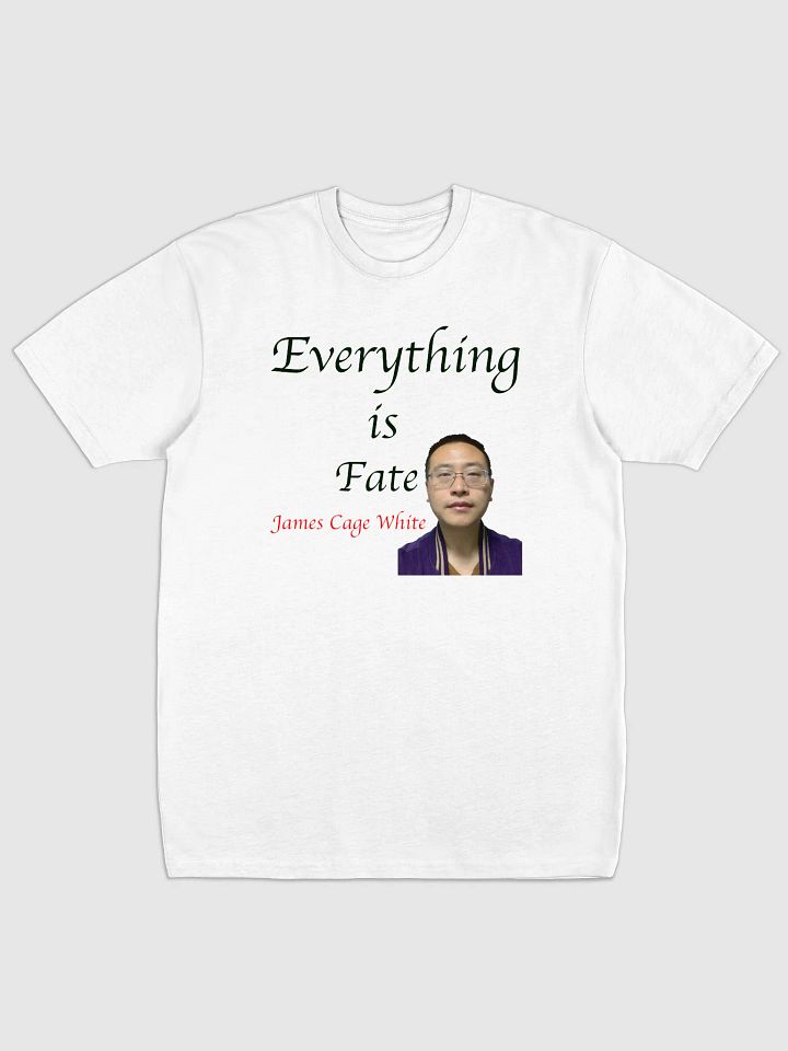 Cotton Heritage Men's Premium Heavyweight Tee:fate product image (1)