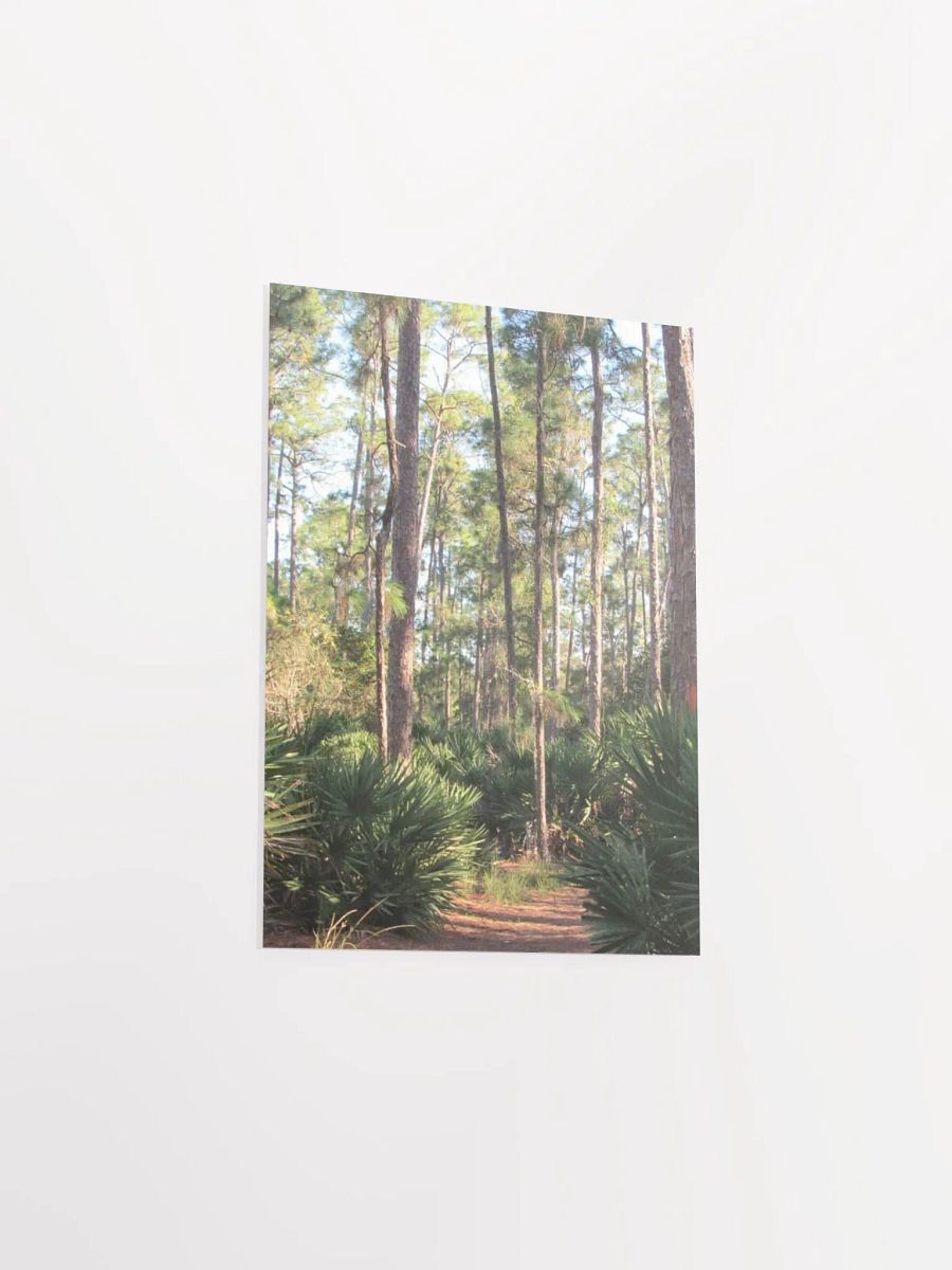 Florida Woods product image (38)