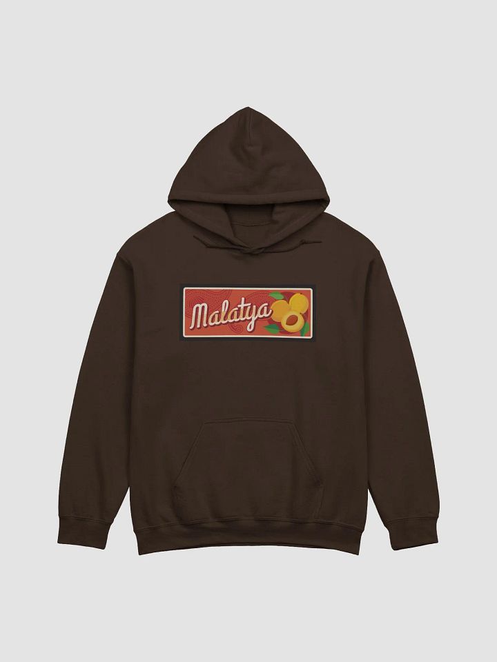 Vintage Malatya Apricot Design Hoodie product image (2)