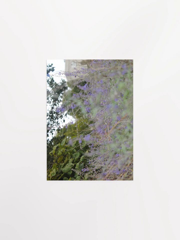 A Study in Flowers 16 product image (1)