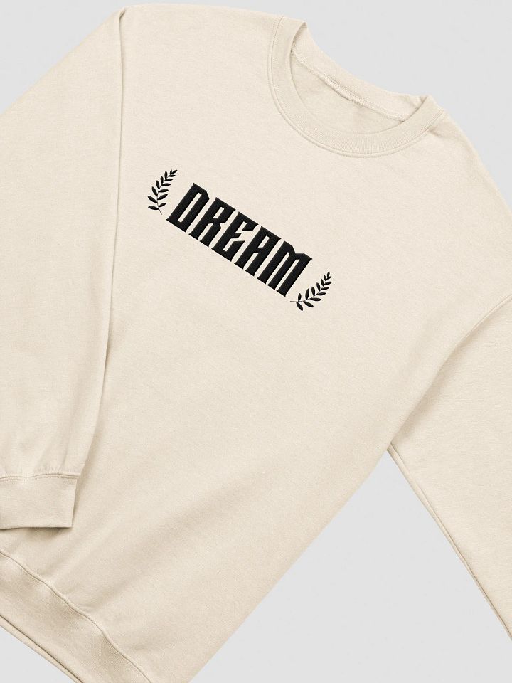 Dream Big Embroidery Sweatshirt product image (23)