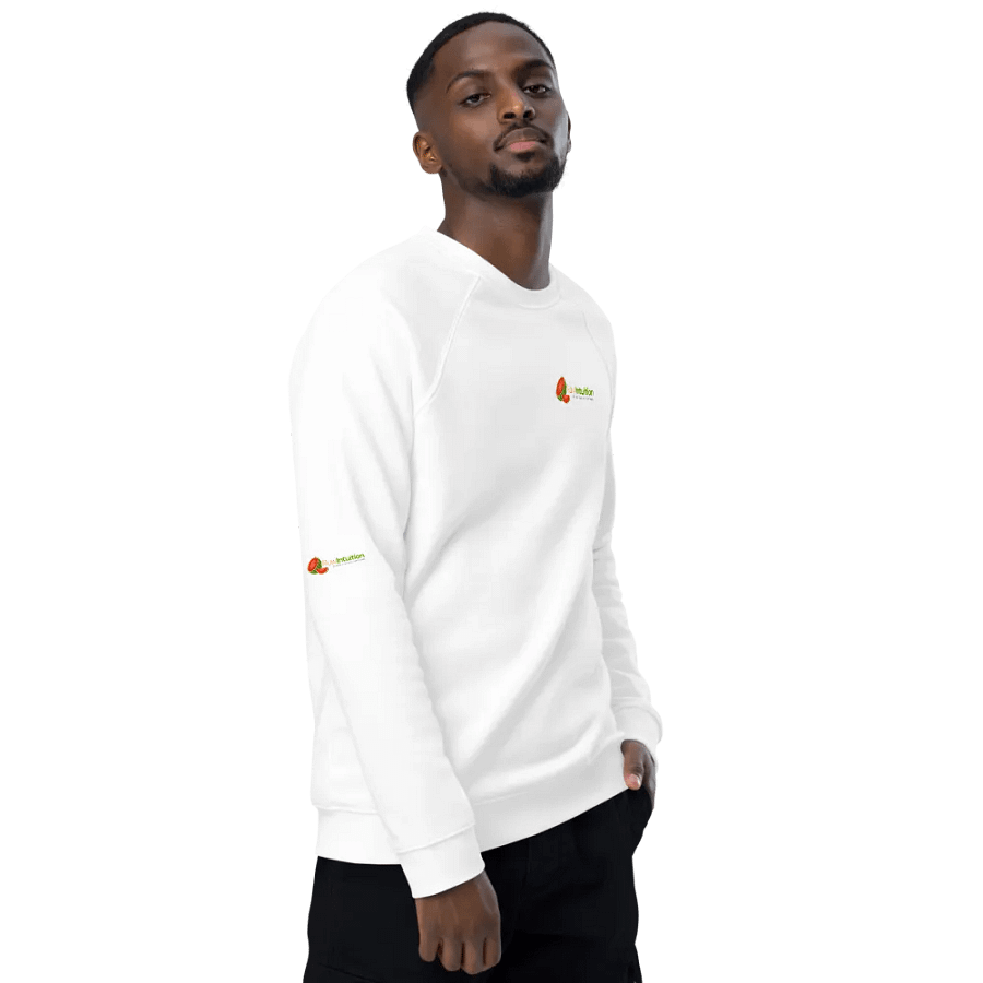 Raw Intuition Healing Raglan Sweatshirt product image (9)